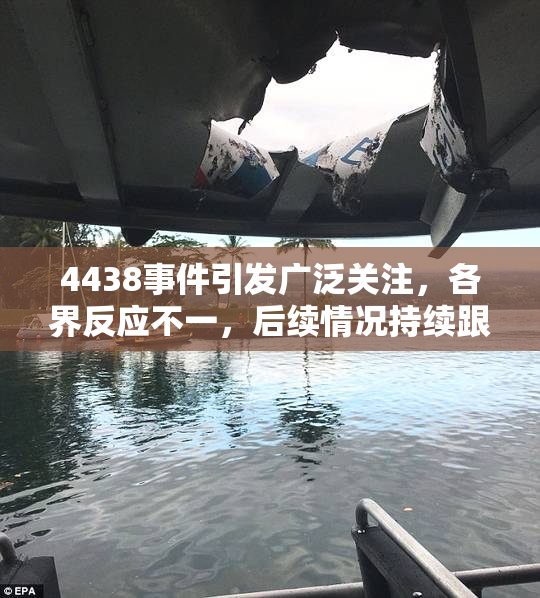 4438事件引发广泛关注，各界反应不一，后续情况持续跟进中。