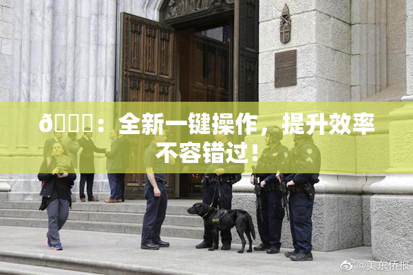 🔞：全新一键操作，提升效率不容错过！