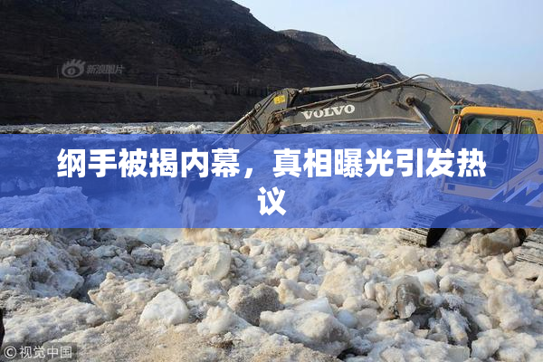 纲手被揭内幕，真相曝光引发热议