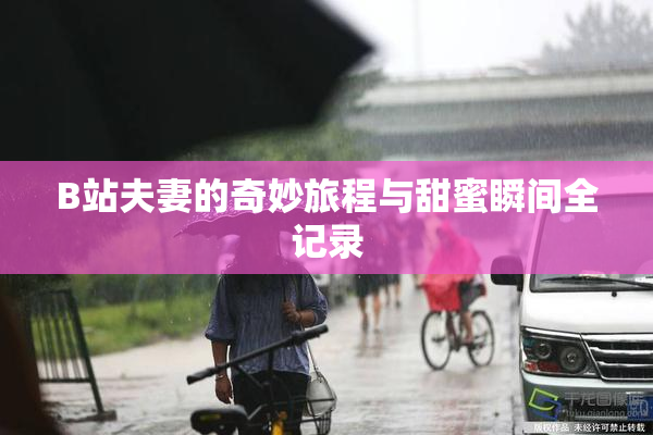 B站夫妻的奇妙旅程与甜蜜瞬间全记录