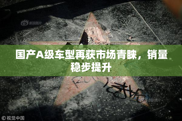国产A级车型再获市场青睐，销量稳步提升
