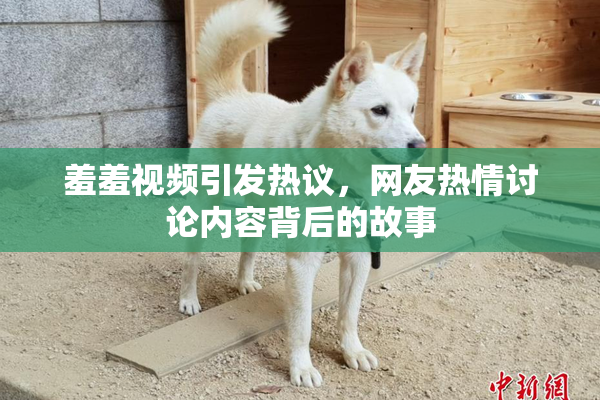 羞羞视频引发热议，网友热情讨论内容背后的故事