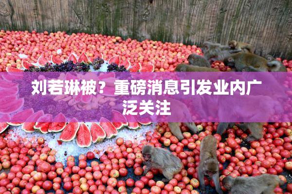 刘若琳被？重磅消息引发业内广泛关注