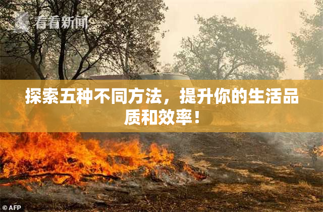 探索五种不同方法，提升你的生活品质和效率！