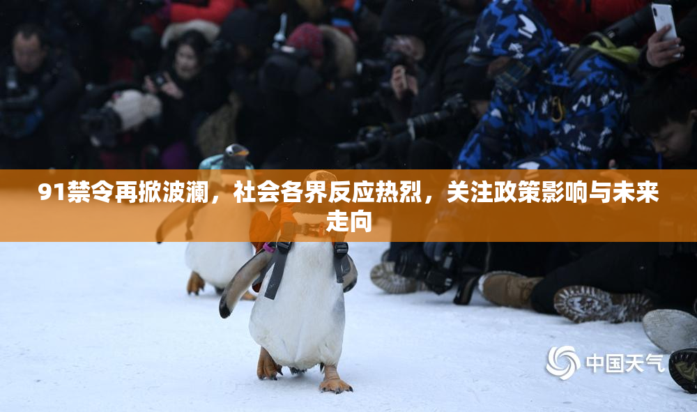 91禁令再掀波澜，社会各界反应热烈，关注政策影响与未来走向
