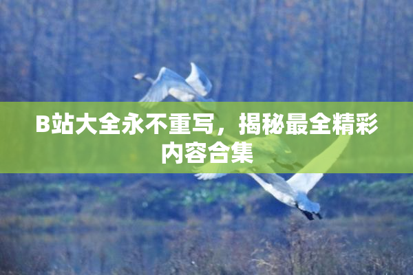 B站大全永不重写，揭秘最全精彩内容合集