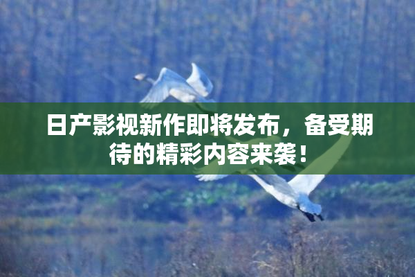 日产影视新作即将发布，备受期待的精彩内容来袭！