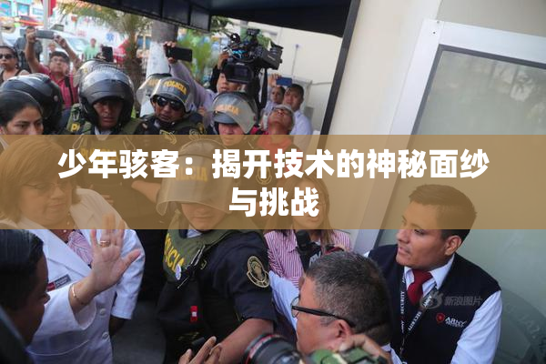 少年骇客：揭开技术的神秘面纱与挑战