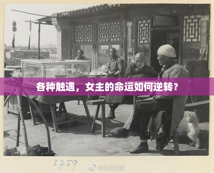 各种触遇，女主的命运如何逆转？