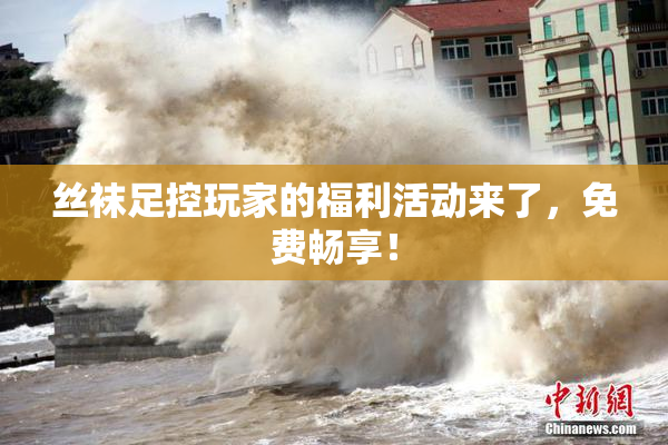 丝袜足控玩家的福利活动来了，免费畅享！
