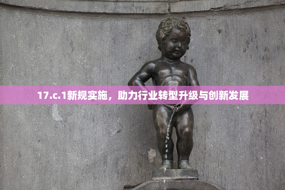 17.c.1新规实施，助力行业转型升级与创新发展