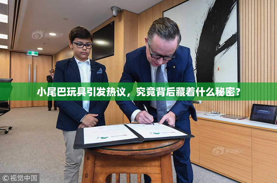 小尾巴玩具引发热议，究竟背后藏着什么秘密？