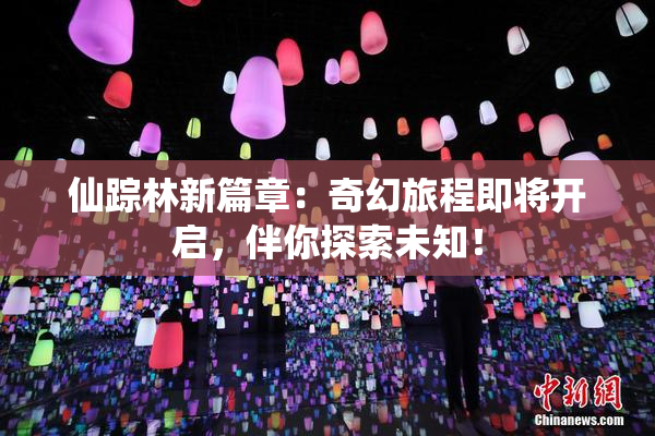 仙踪林新篇章：奇幻旅程即将开启，伴你探索未知！