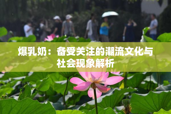 爆乳奶：备受关注的潮流文化与社会现象解析
