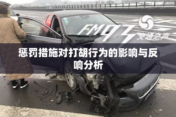 惩罚措施对打胡行为的影响与反响分析