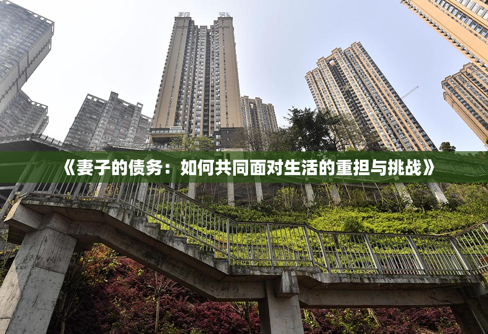 《妻子的债务：如何共同面对生活的重担与挑战》