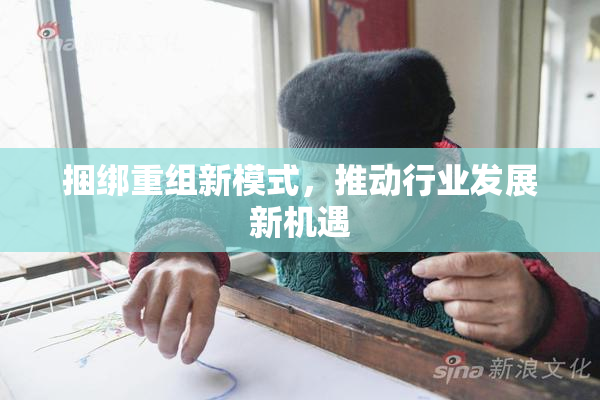 捆绑重组新模式，推动行业发展新机遇