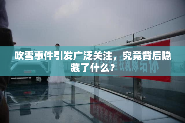 吹雪事件引发广泛关注，究竟背后隐藏了什么？
