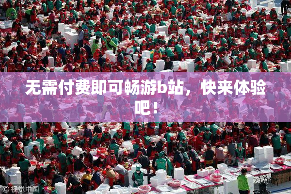 无需付费即可畅游b站，快来体验吧！