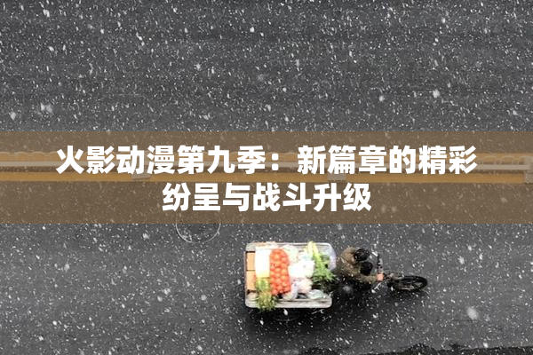 火影动漫第九季：新篇章的精彩纷呈与战斗升级