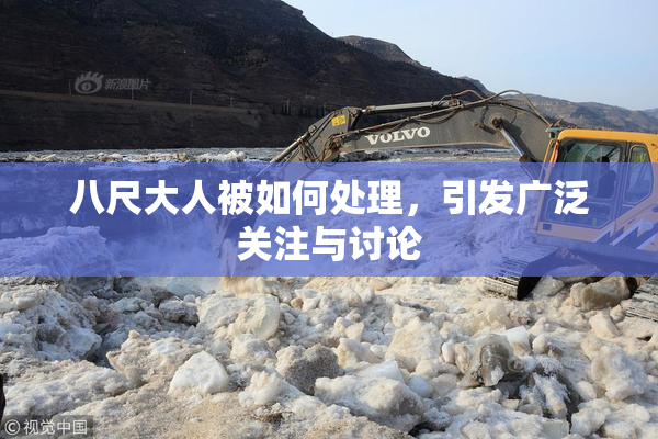 八尺大人被如何处理，引发广泛关注与讨论