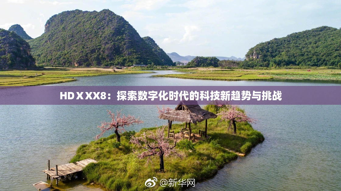 HDⅩXX8：探索数字化时代的科技新趋势与挑战