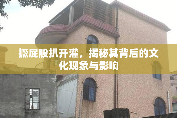 撅屁股扒开灌，揭秘其背后的文化现象与影响