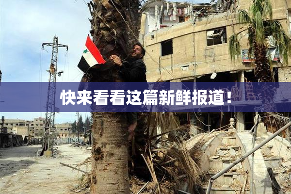 快来看看这篇新鲜报道！