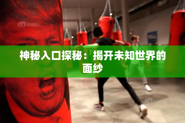 神秘入口探秘：揭开未知世界的面纱