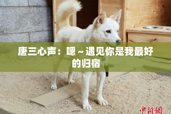 唐三心声：嗯～遇见你是我最好的归宿