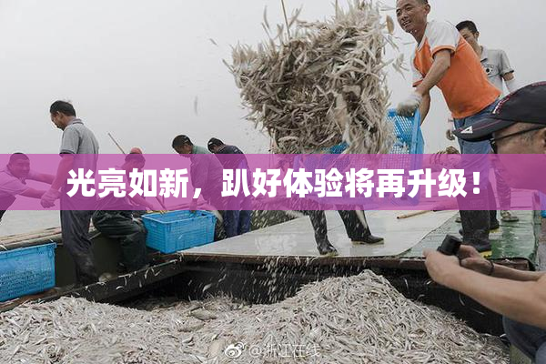 光亮如新，趴好体验将再升级！