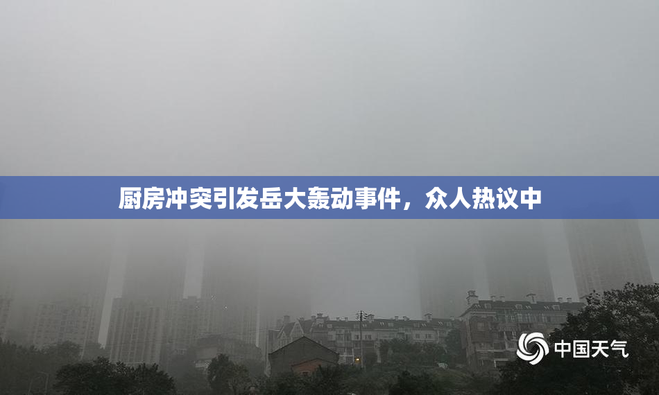 厨房冲突引发岳大轰动事件，众人热议中