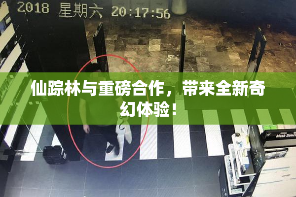 仙踪林与重磅合作，带来全新奇幻体验！