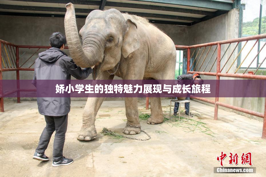 娇小学生的独特魅力展现与成长旅程