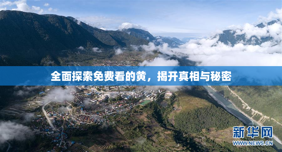 全面探索免费看的黄，揭开真相与秘密