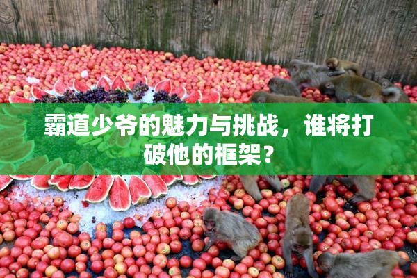 霸道少爷的魅力与挑战，谁将打破他的框架？