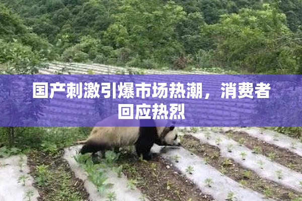 国产刺激引爆市场热潮，消费者回应热烈