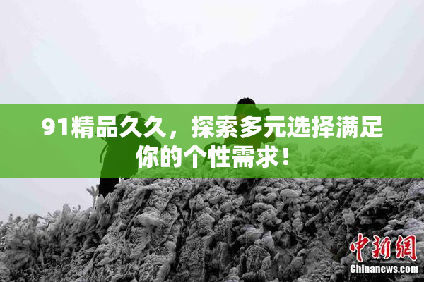 91精品久久，探索多元选择满足你的个性需求！