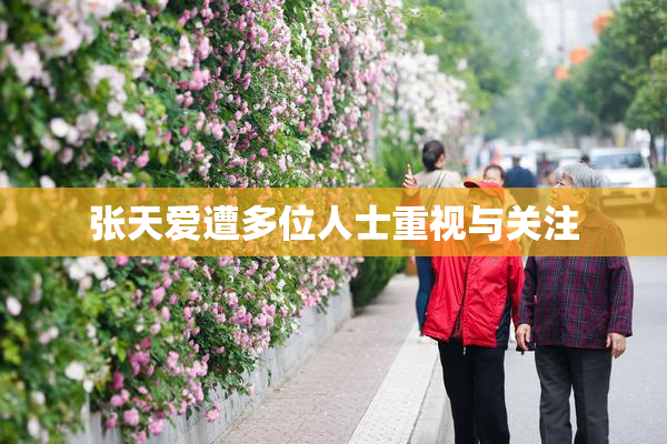 张天爱遭多位人士重视与关注