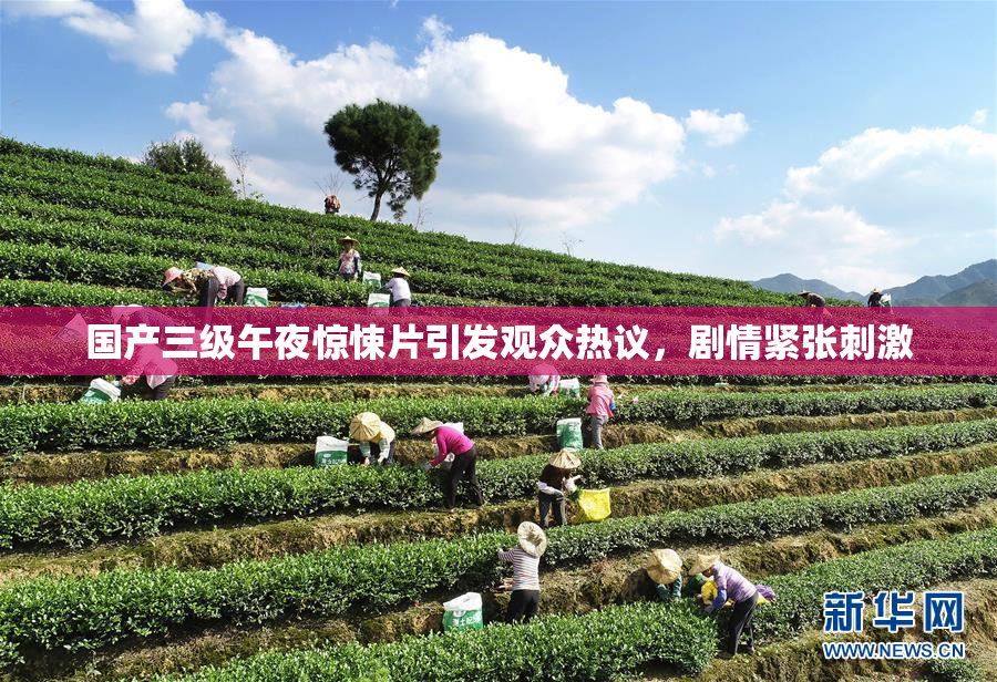国产三级午夜惊悚片引发观众热议，剧情紧张刺激