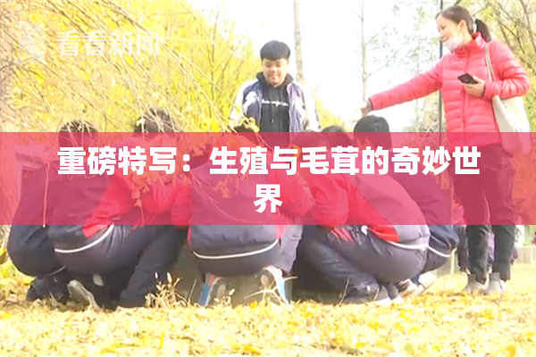 重磅特写：生殖与毛茸的奇妙世界