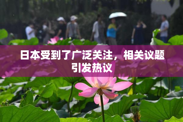日本受到了广泛关注，相关议题引发热议