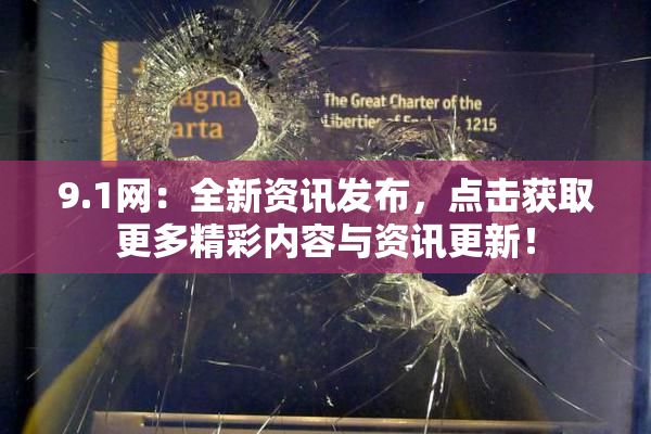 9.1网：全新资讯发布，点击获取更多精彩内容与资讯更新！