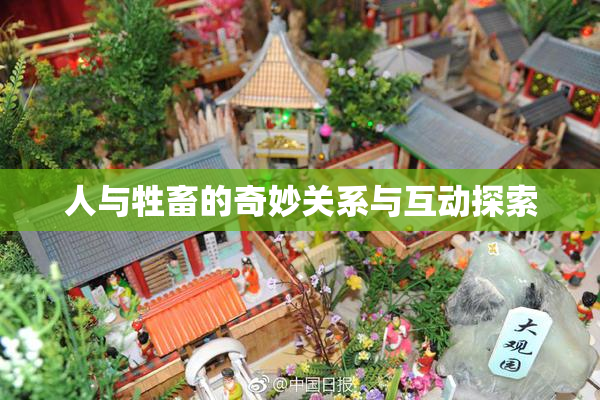 人与牲畜的奇妙关系与互动探索