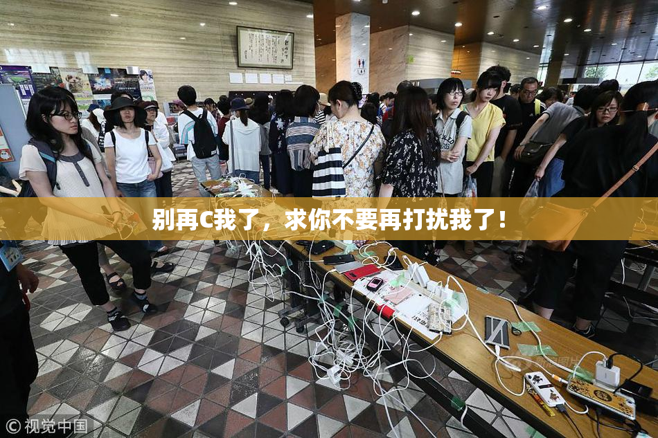 别再C我了，求你不要再打扰我了！