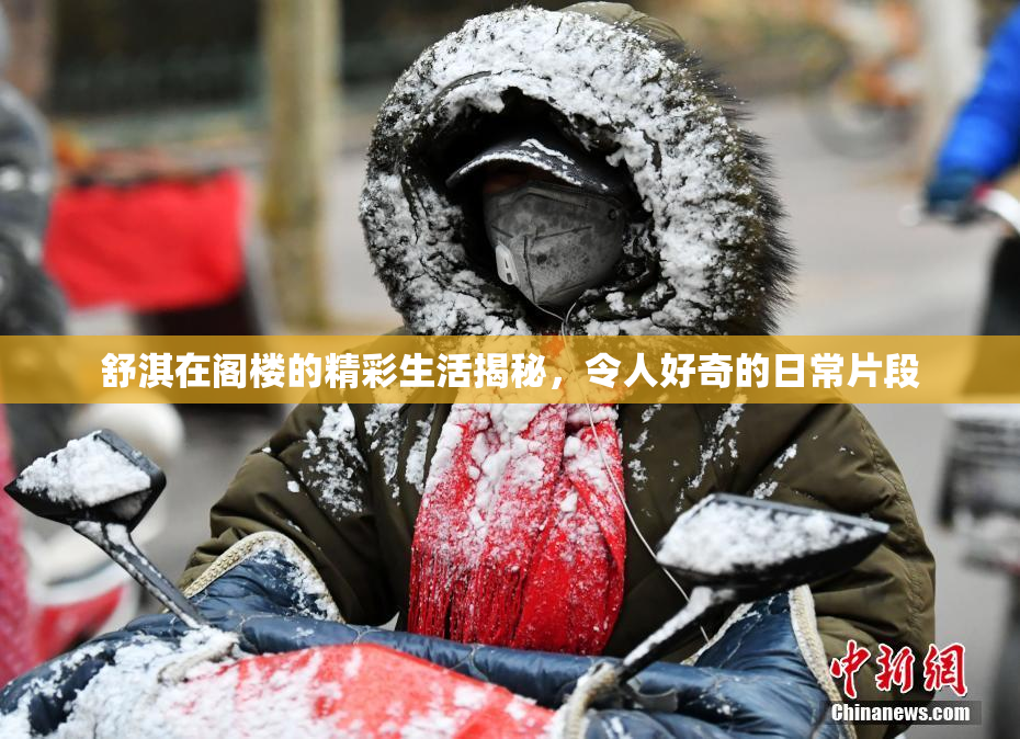 舒淇在阁楼的精彩生活揭秘，令人好奇的日常片段