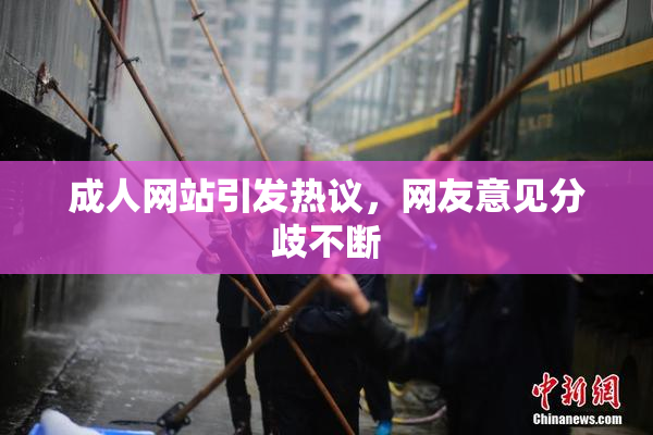 成人网站引发热议，网友意见分歧不断