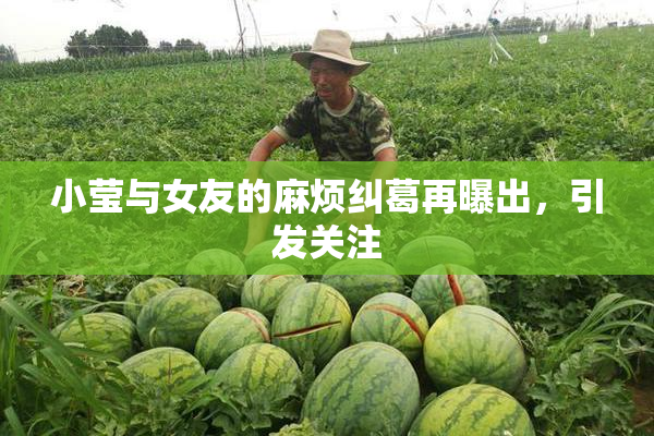 小莹与女友的麻烦纠葛再曝出，引发关注
