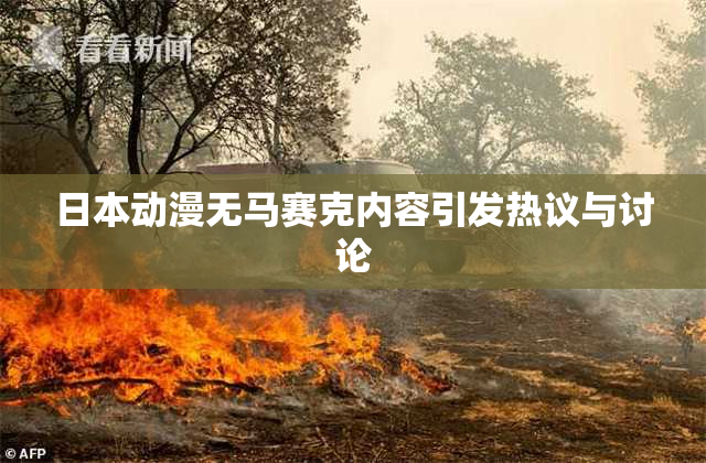 日本动漫无马赛克内容引发热议与讨论