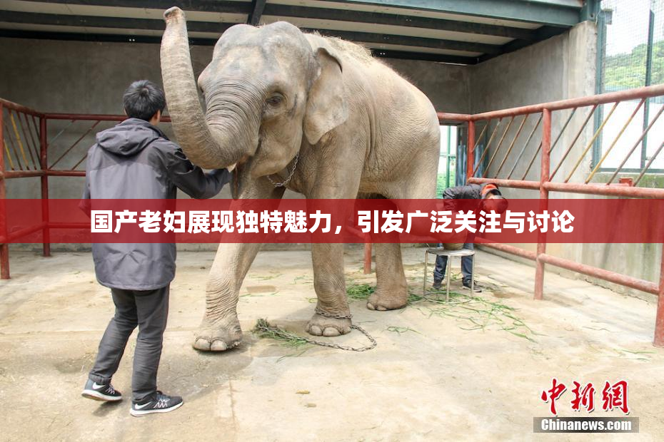 国产老妇展现独特魅力，引发广泛关注与讨论